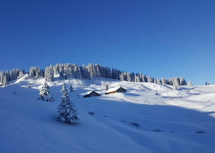 Appartement Verchaix 5Min De Samoens Vallee Giffre