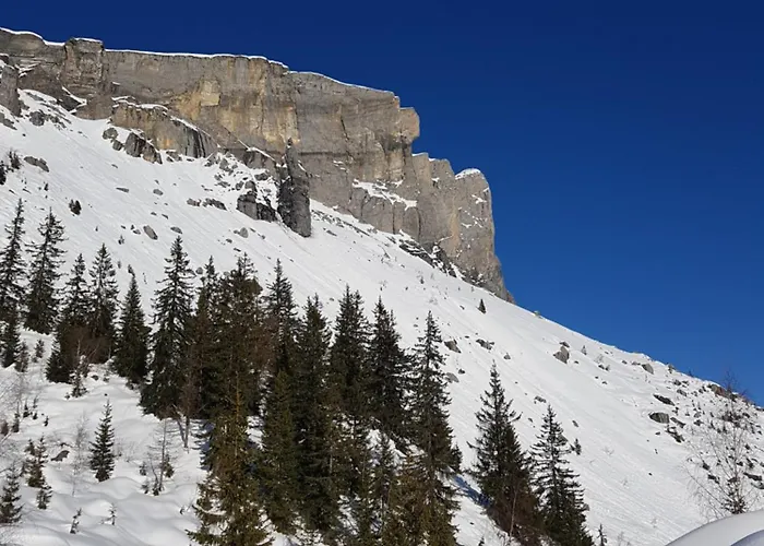 Appartement Verchaix 5Min De Samoens Vallee Giffre