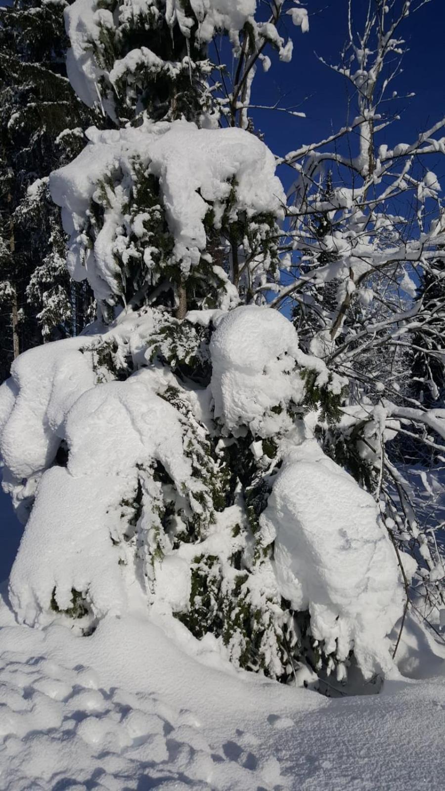 5min De Samoens Vallee Giffre Appartement